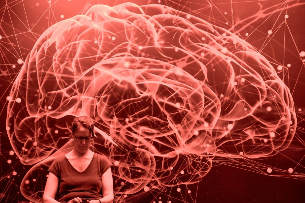 An interdisciplinary scientific study, launched more than a decade ago at the intersection of neuroscience, linguistics, and artificial intelligence, has received...